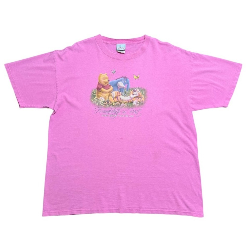 Vintage 90s Disney Winnie the Pooh Friendship Tigger Eeyore Cute Graphic T-shirt
